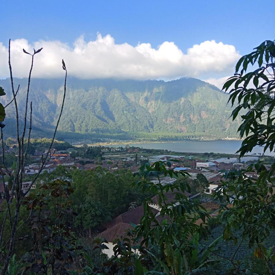 Bed and Breakfast Eco Bedugul Adventurer Camp Esterno foto