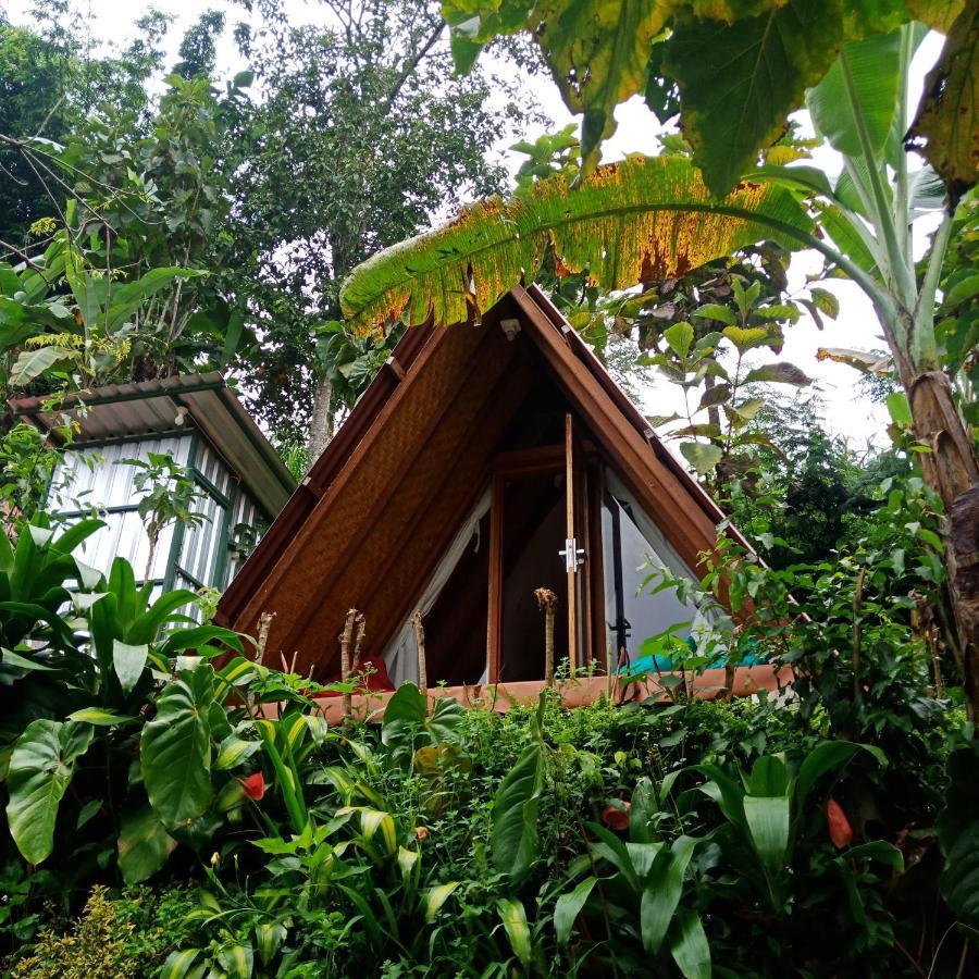 Bed and Breakfast Eco Bedugul Adventurer Camp Esterno foto