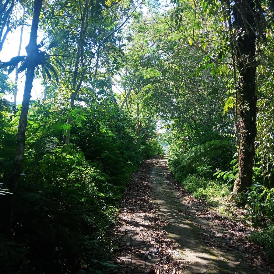 Bed and Breakfast Eco Bedugul Adventurer Camp Esterno foto