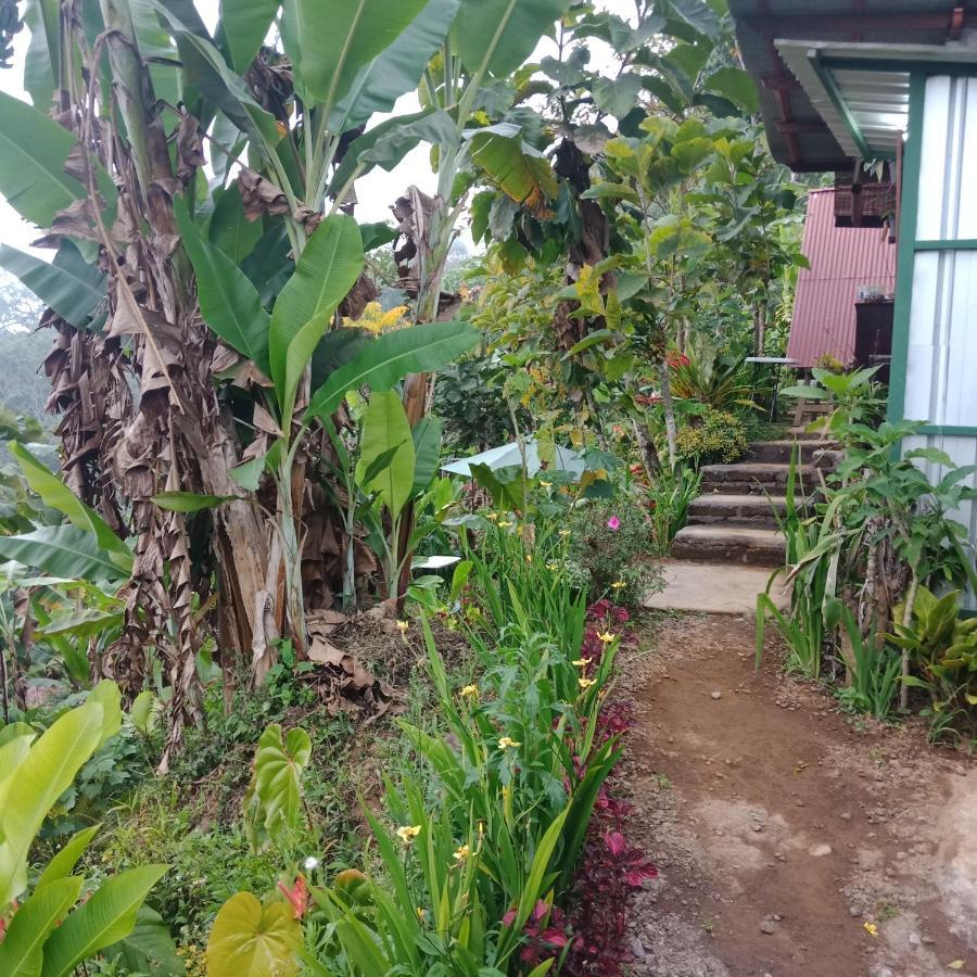 Bed and Breakfast Eco Bedugul Adventurer Camp Esterno foto